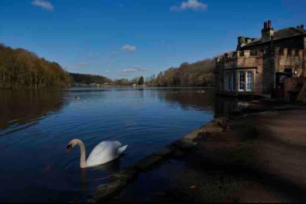 Millstone Cottage Newmillerdam Hill Top Εξωτερικό φωτογραφία
